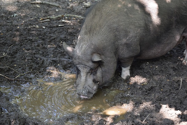 她的表现增 她的表现增
