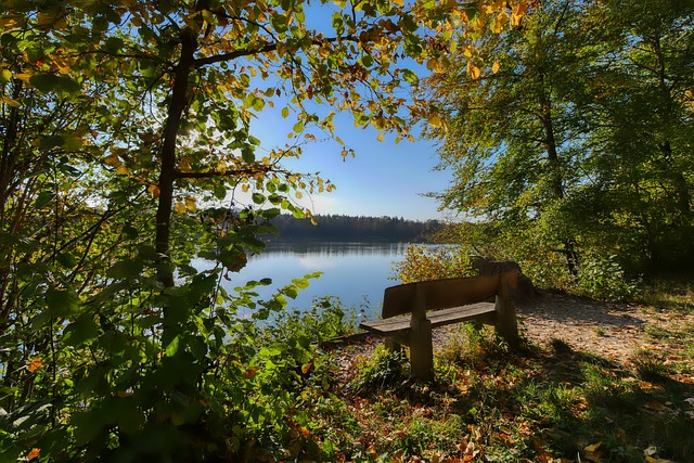 雷佩凡以稳 雷佩凡以稳