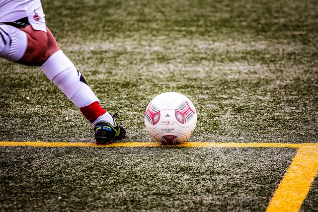 亚冬会不仅 亚冬会不仅