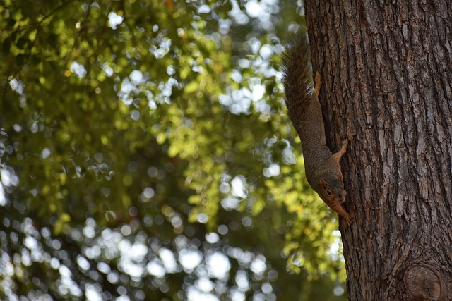 前的困难 前的困难