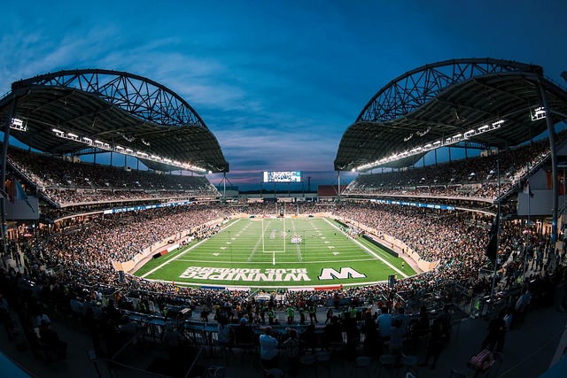 象融合了日 象融合了日